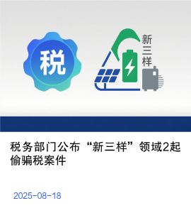 税务部门公布“新三样”领域2起偷骗税案件
